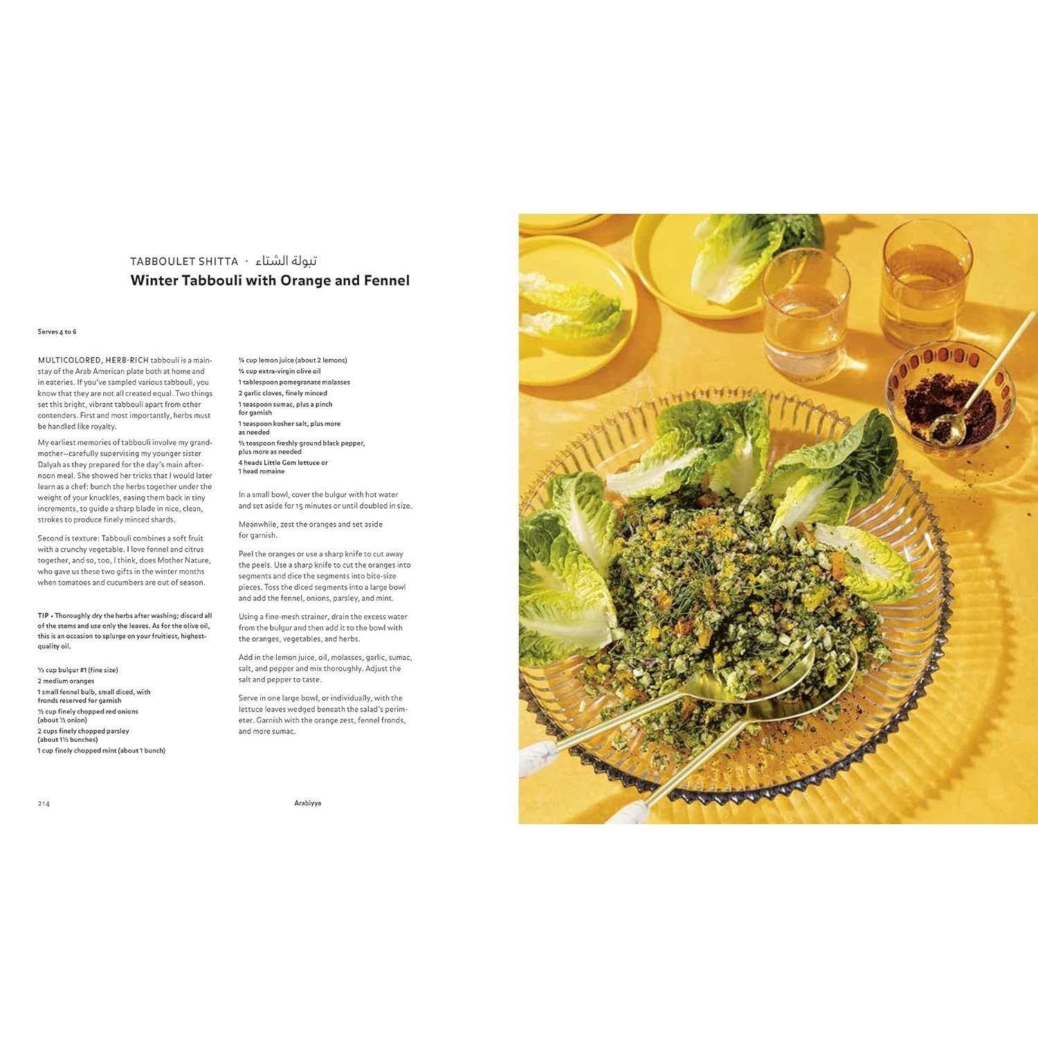 Arabiyya: Recipes from the Life of an Arab in Diaspora [A Cookbook] (Spiral Bound)