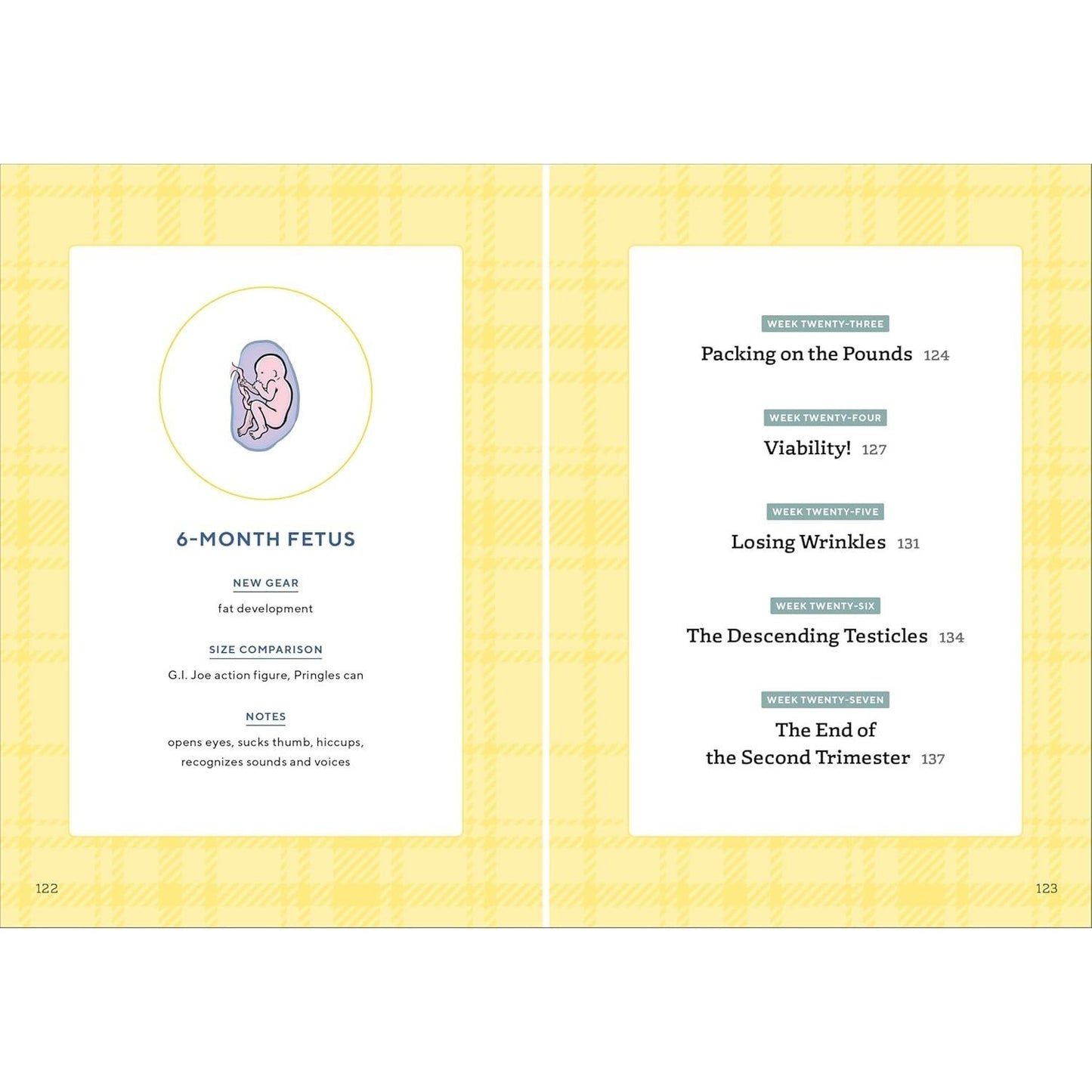 We're Pregnant! the First Time Dad's Pregnancy Handbook (First-Time Dads) (Spiral Bound)