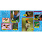 National Geographic Little Kids First Big Book of Birds (National Geographic Little Kids First Big Books) (Spiral Bound)