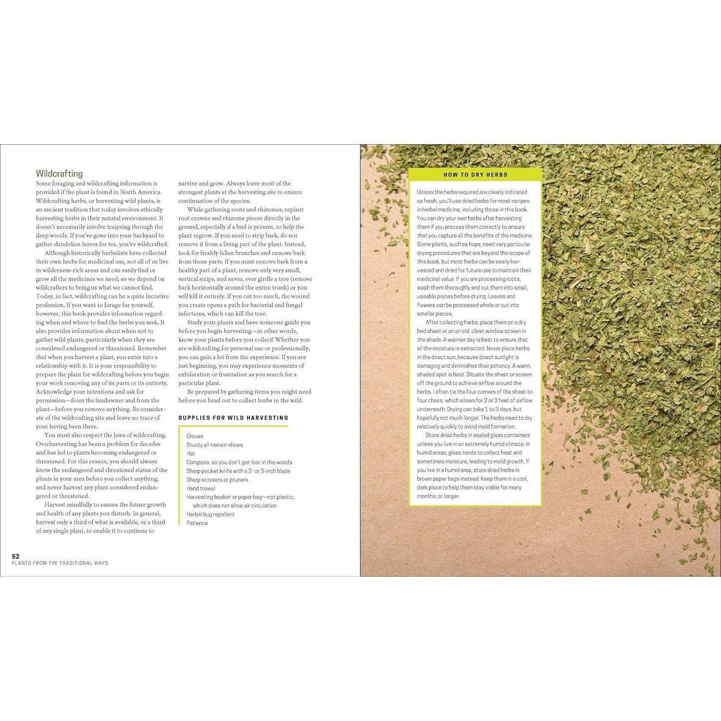 The Herbal Apothecary: 100 Medicinal Herbs and How to Use Them