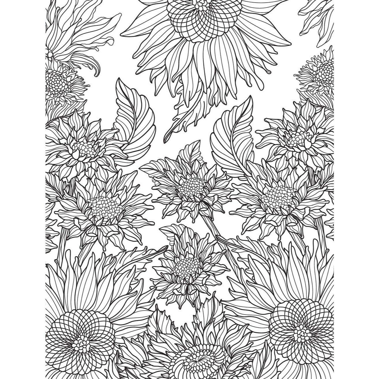 Healing Vibes: Coloring for Calm