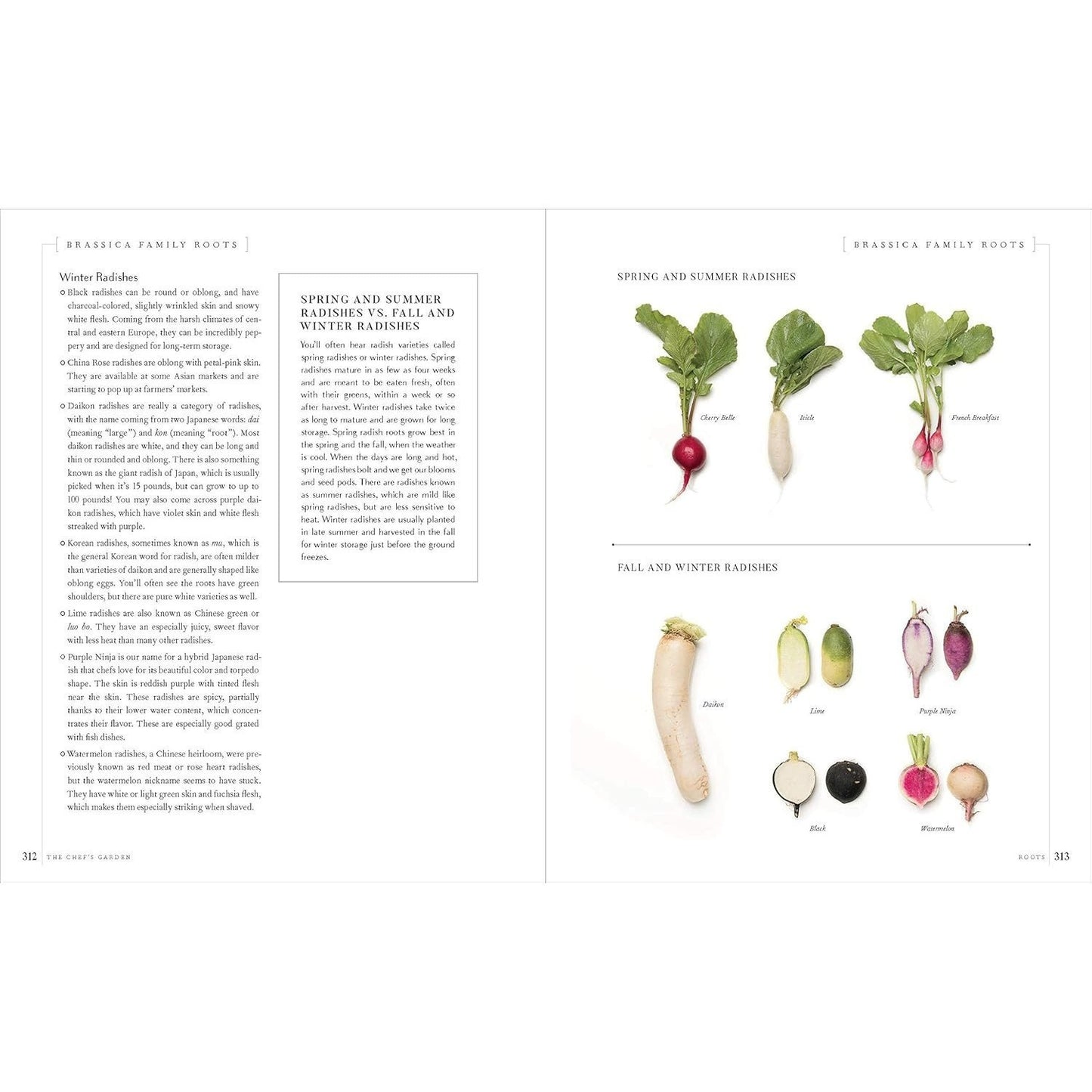 The Chef's Garden: A Modern Guide to Common and Unusual Vegetables--With Recipes: A Cookbook
