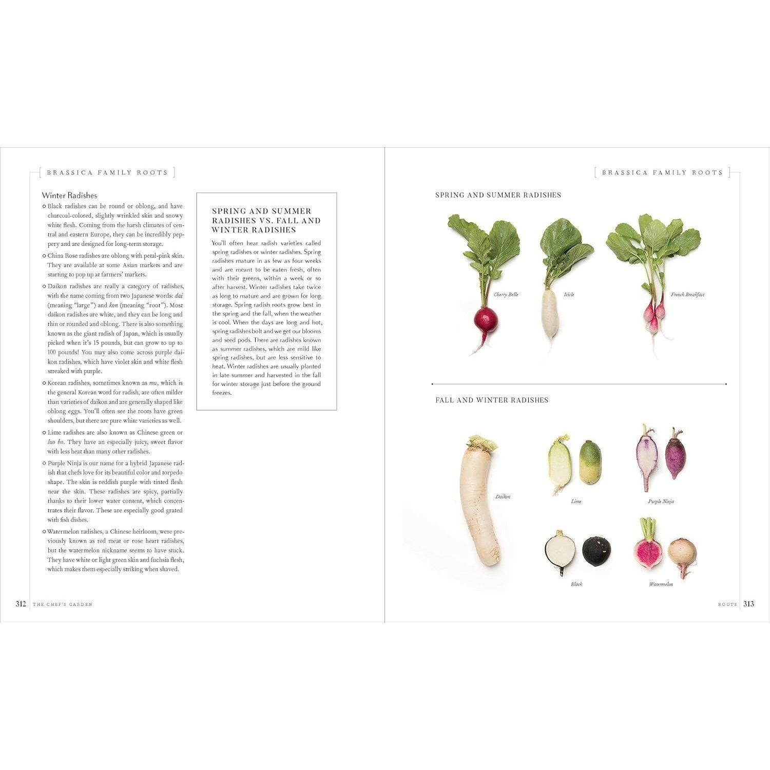 The Chef's Garden: A Modern Guide to Common and Unusual Vegetables--With Recipes: A Cookbook