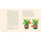 For the Love of Houseplants: Caring for & Keeping Plants with Confidence