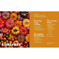 Big Vegan Flavor: Techniques and 150 Recipes to Master Vegan Cooking