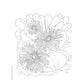 Creative Haven Desert Blooms Coloring Book