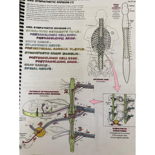 The Anatomy Coloring Book