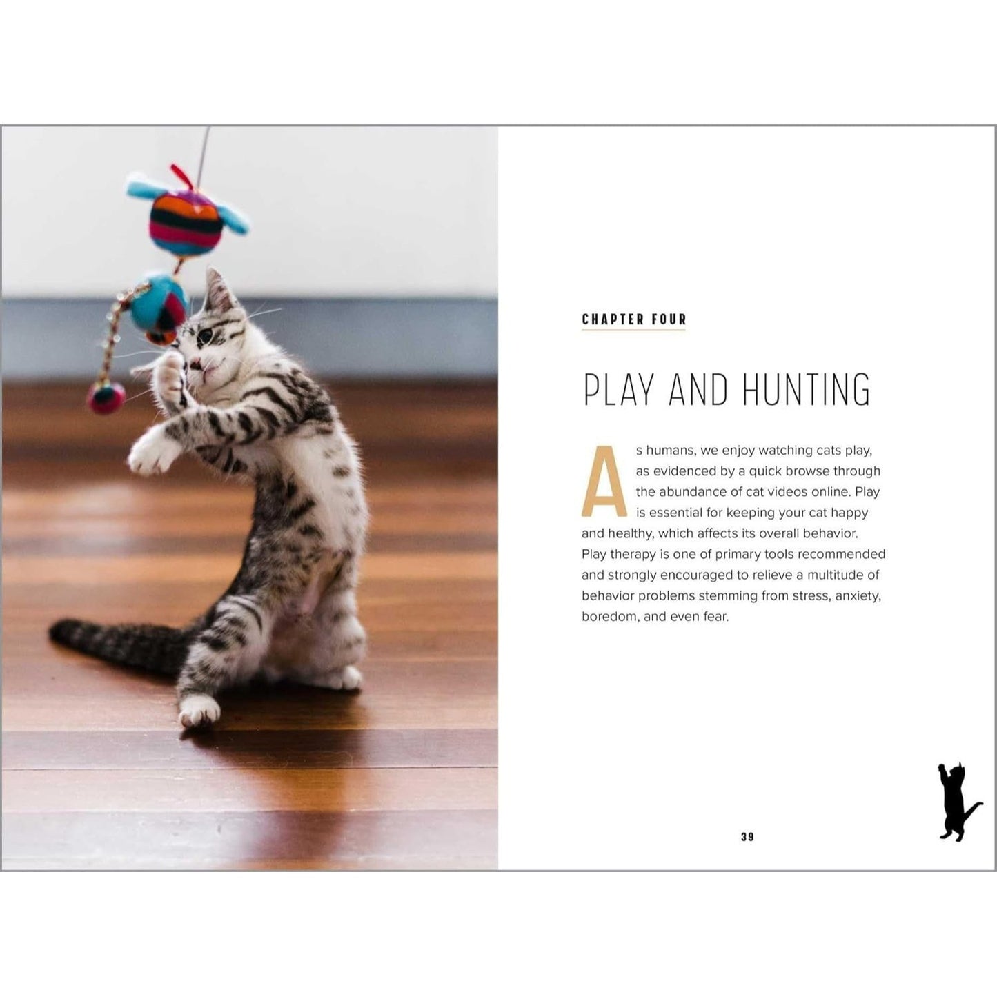 Understanding Cat Behavior: A Compassionate Guide to Training and Communication