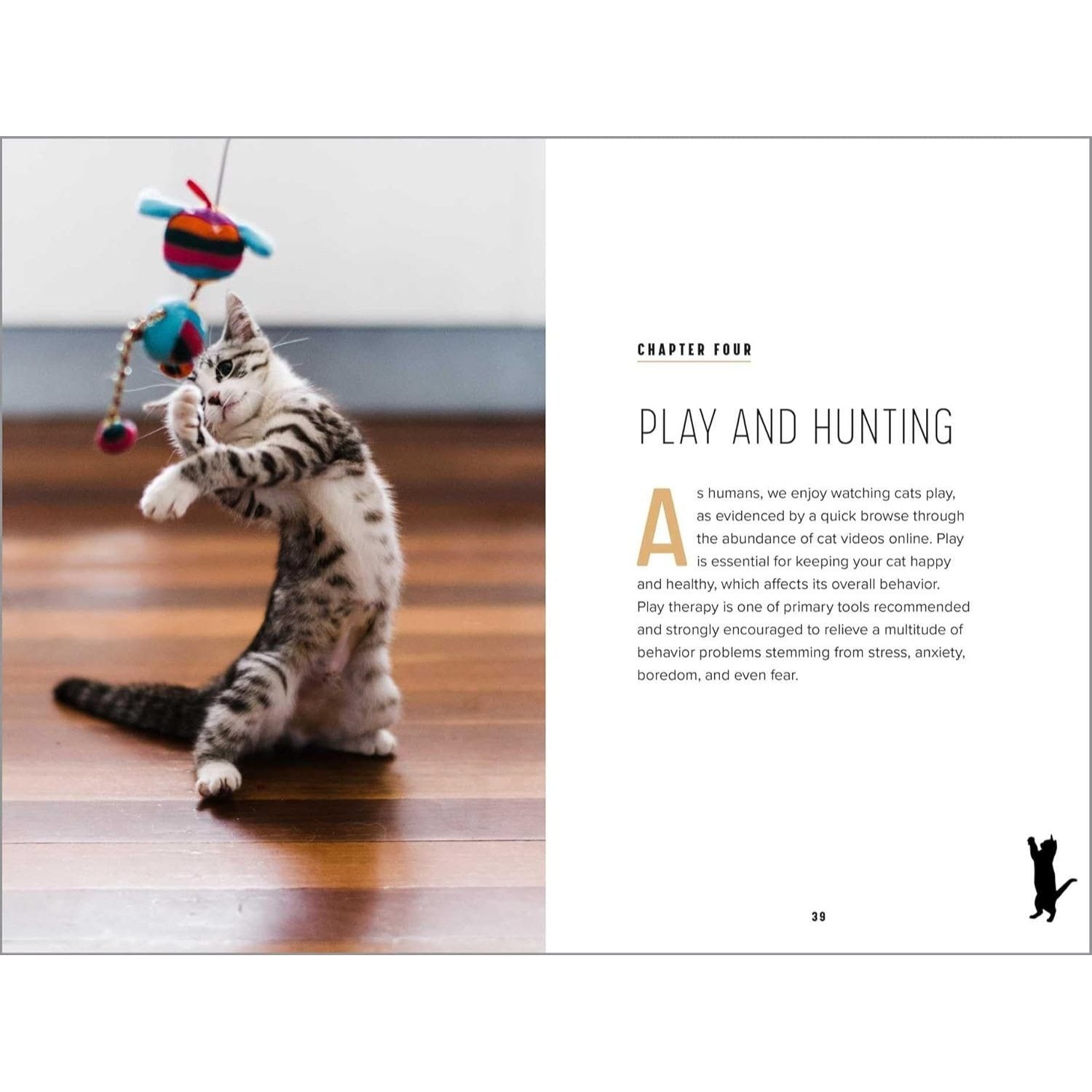 Understanding Cat Behavior: A Compassionate Guide to Training and Communication
