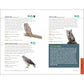 North American Bird Watching for Beginners: Field Notes on 150 Species to Start Your Birding Adventures (Spiral Bound)