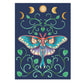 Creative Haven Pixie Dust Dreams Coloring Book: The Fairycore Lifestyle