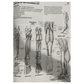 The Anatomy Coloring Book