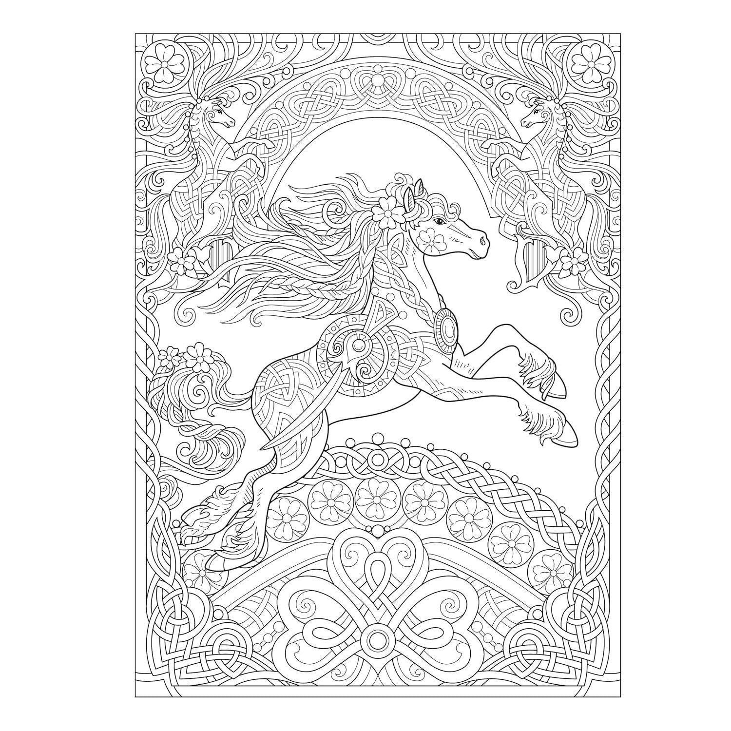 Creative Haven Dream Horses Coloring Book
