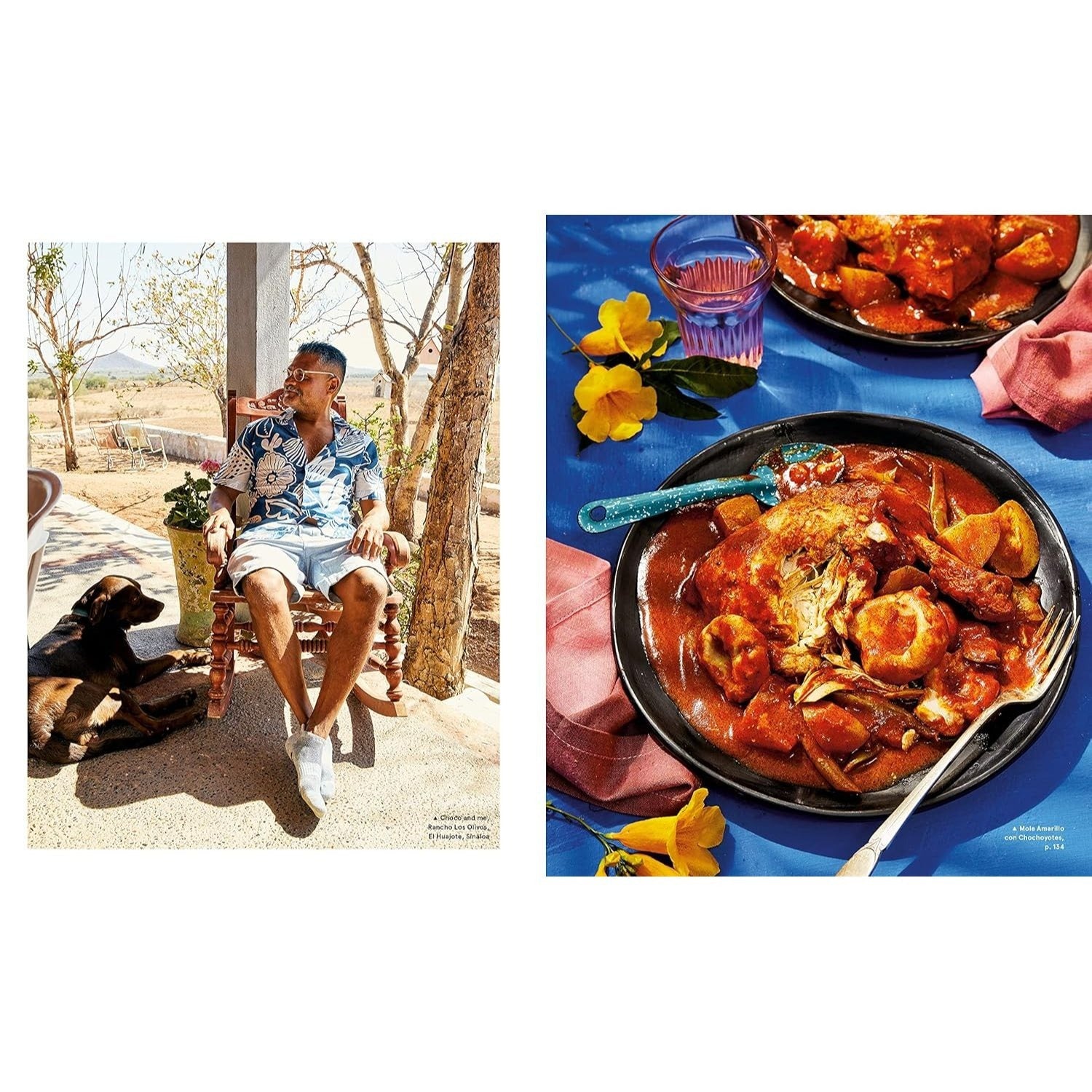 Mi Cocina: Recipes and Rapture from My Kitchen in Mexico: A Cookbook