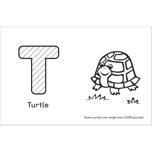 A is for Animals!: Preschool Coloring Book (Spiral Bound)