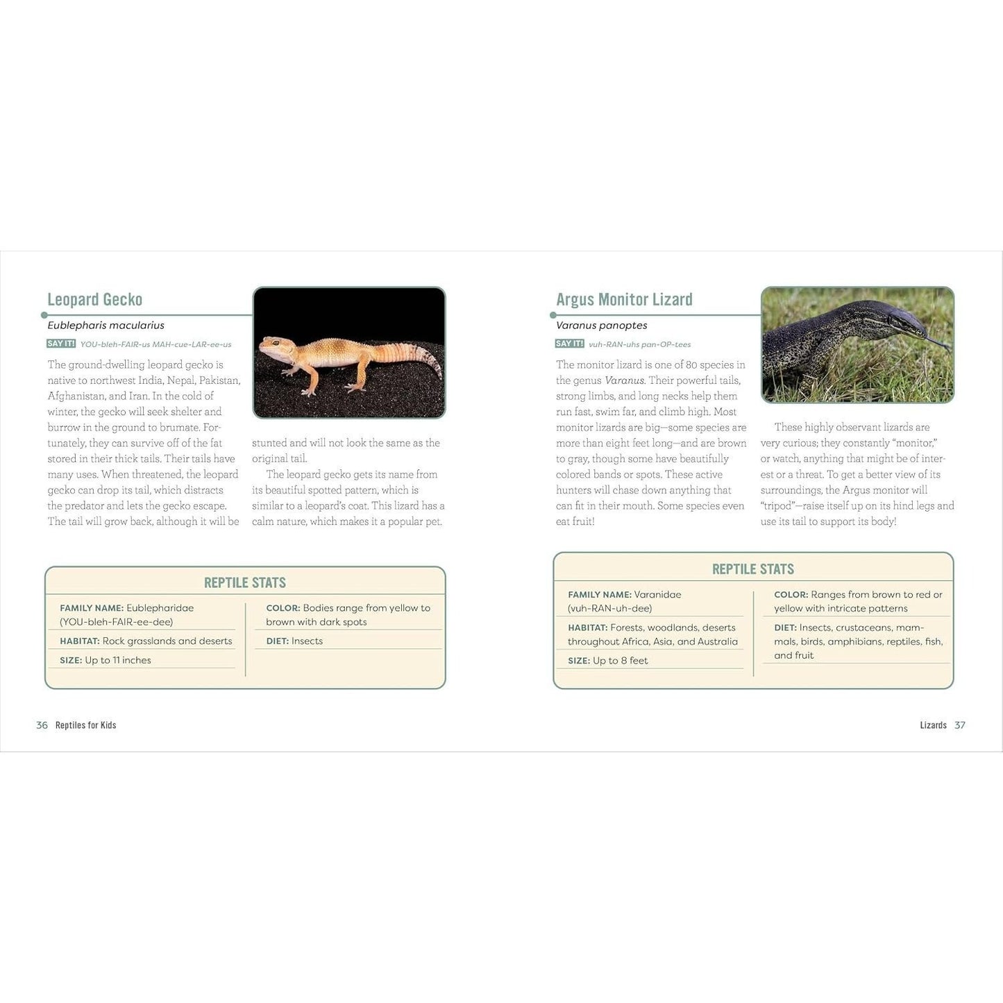 Reptiles for Kids: A Junior Scientist's Guide to Lizards, Amphibians, and Cold-Blooded Creatures