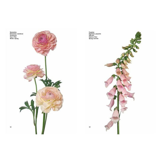 Flower Color Guide (Spiral Bound)