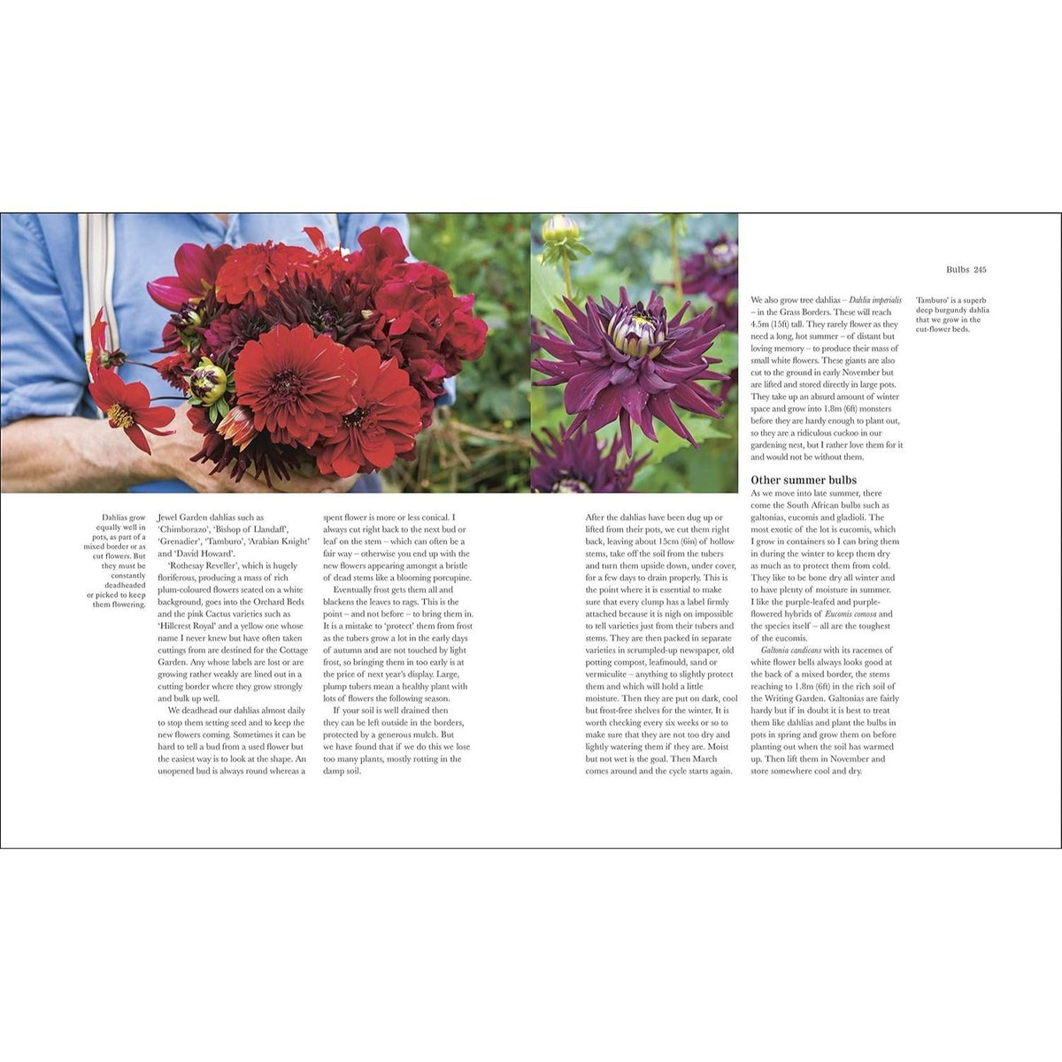 The Complete Gardener: A Practical, Imaginative Guide to Every Aspect of Gardening (Spiral Bound)