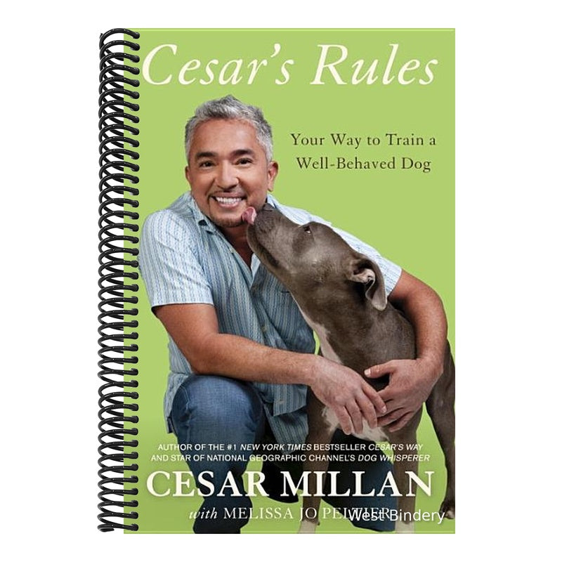 Cesar's Rules: Your Way to Train a Well-Behaved Dog