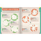 Pokémon the Official Sticker Book of the Kanto Region: The Original 151 (Pokemon Pikachu Press) (Spiral Bound)