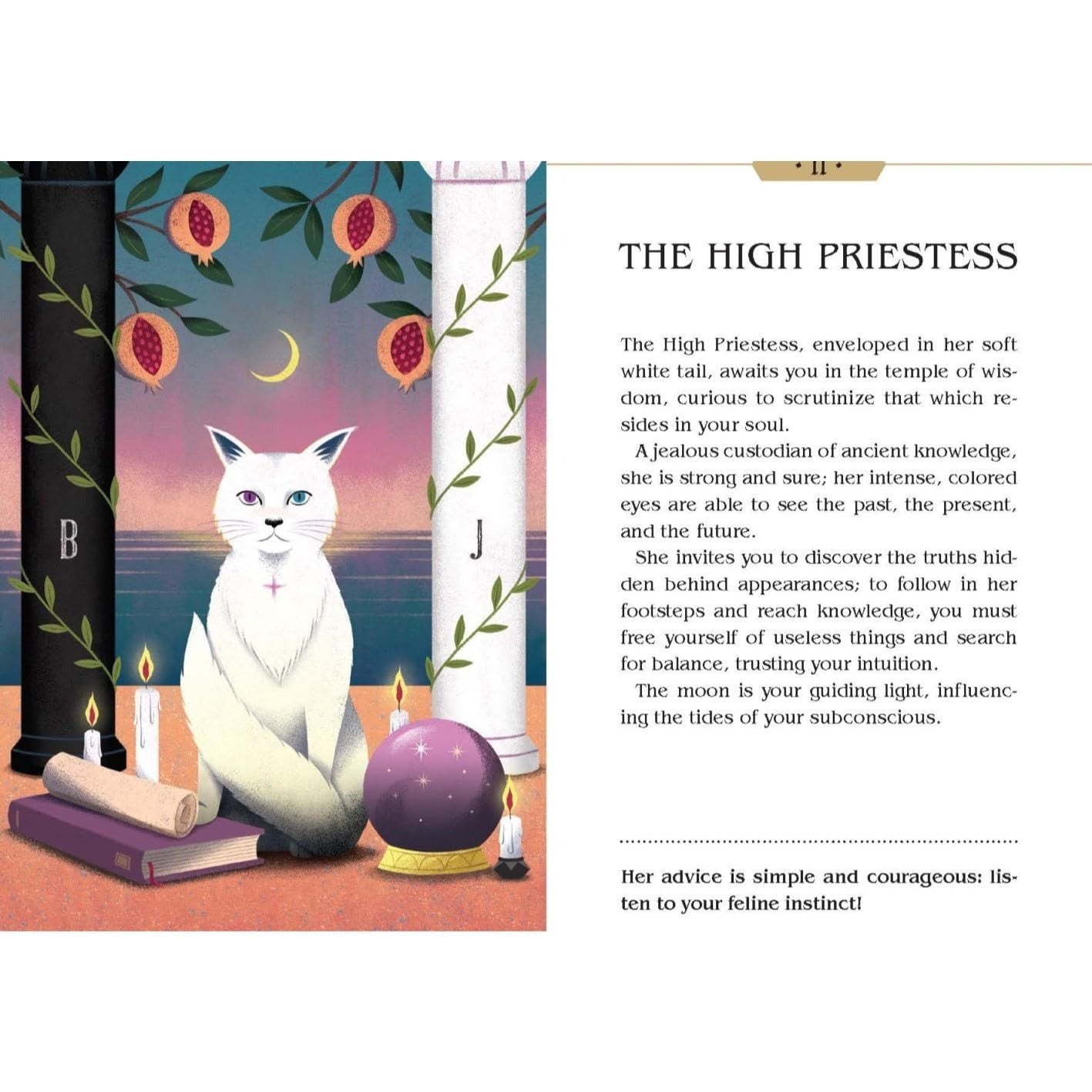 Magic Cats Tarot