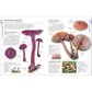 Mushrooms: How to Identify and Gather Wild Mushrooms and Other Fungi (Spiral Bound)
