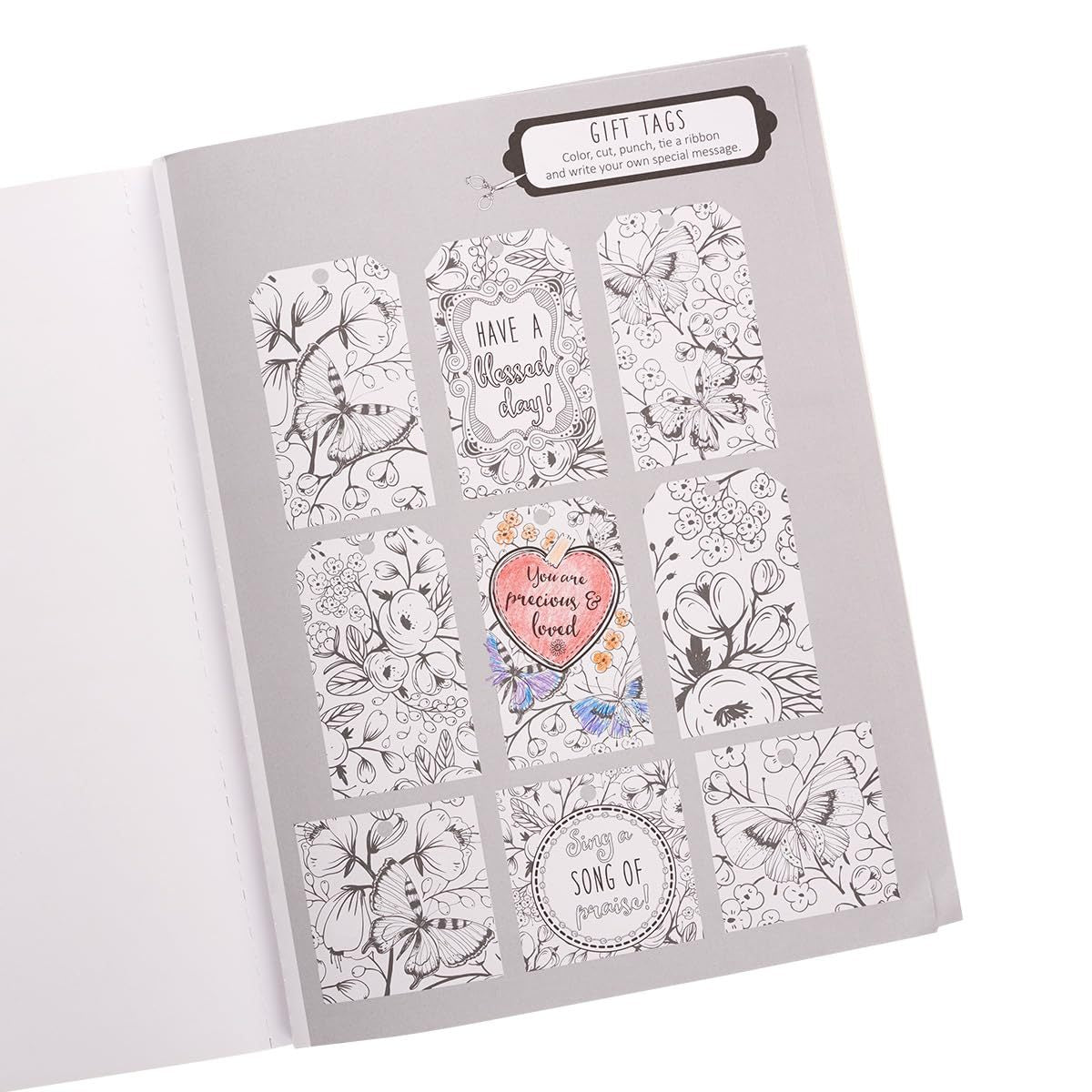 Coloring Book the Psalms in Color