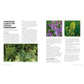 Companion Planting for Beginners: Pair Your Plants for a Bountiful, Chemical-Free Vegetable Garden (Spiral Bound)