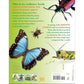 Everything You Need to Know about Bugs (Everything You Need to Know) (Spiral Bound)
