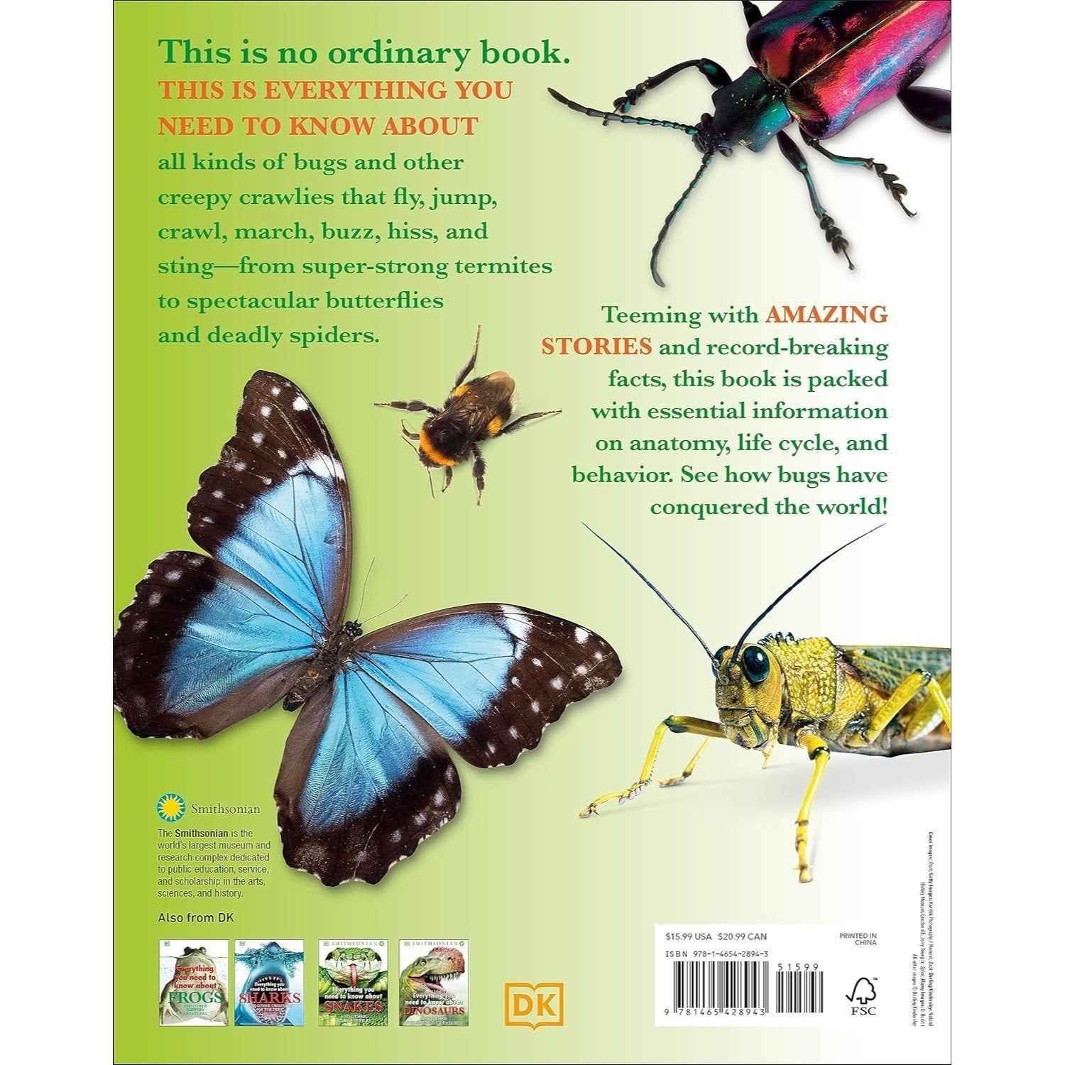 Everything You Need to Know about Bugs (Everything You Need to Know) (Spiral Bound)