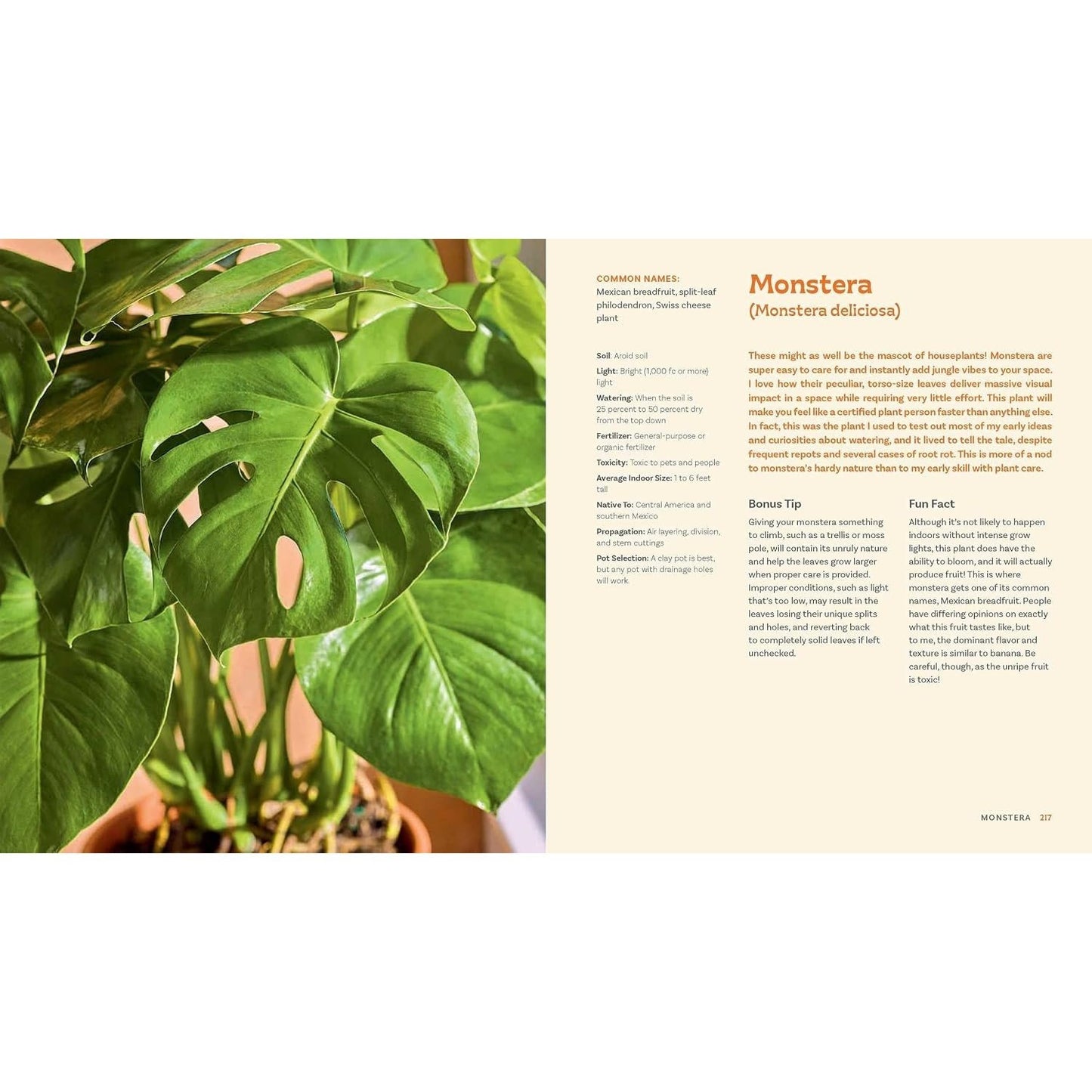 For the Love of Houseplants: Caring for & Keeping Plants with Confidence