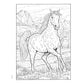 Creative Haven Great Horses Coloring Book
