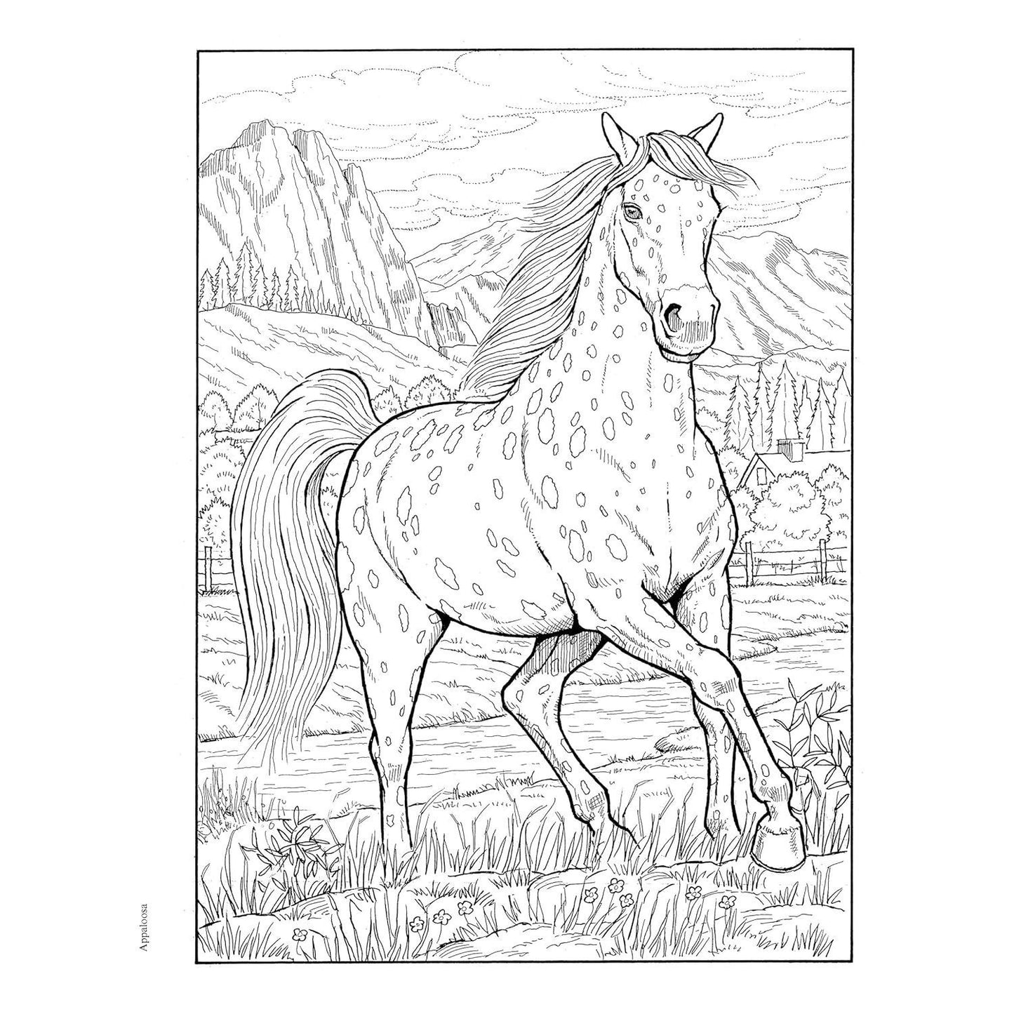 Creative Haven Great Horses Coloring Book