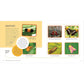The Weird and Wonderful World of Bugs: A Book about Beetles, Butterflies, and Other Fascinating Insects