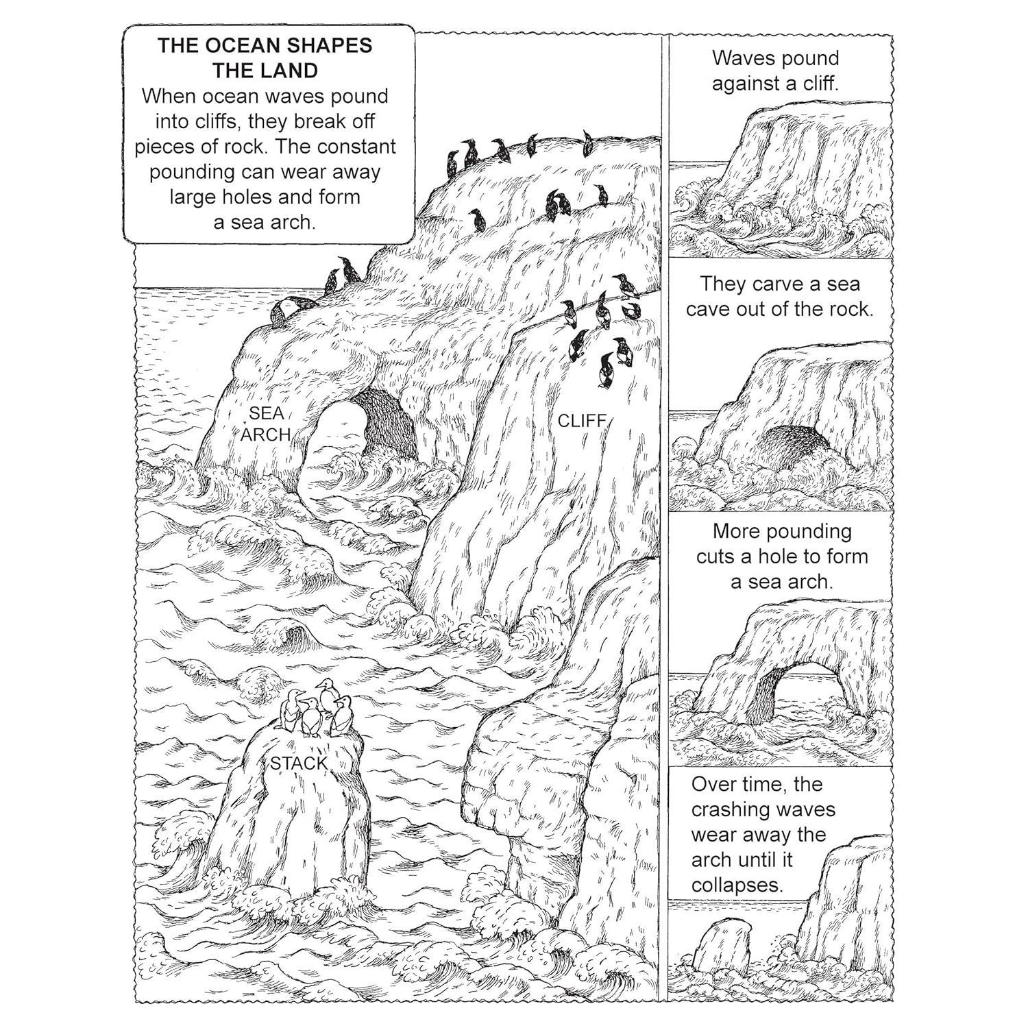 My First Book about the Oceans
