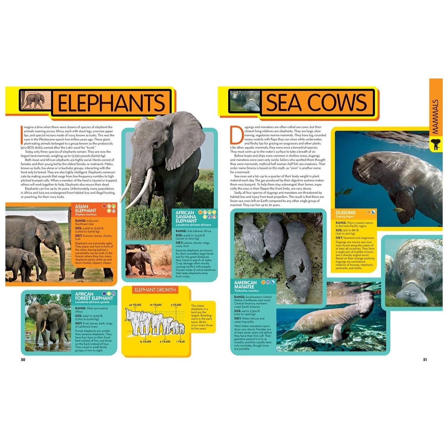 National Geographic Kids Animal Encyclopedia, 2nd Edition: 2,500 Animals with Photos, Maps, and More! (Spiral Bound)