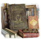 Dinotopia: Journey to Chandara