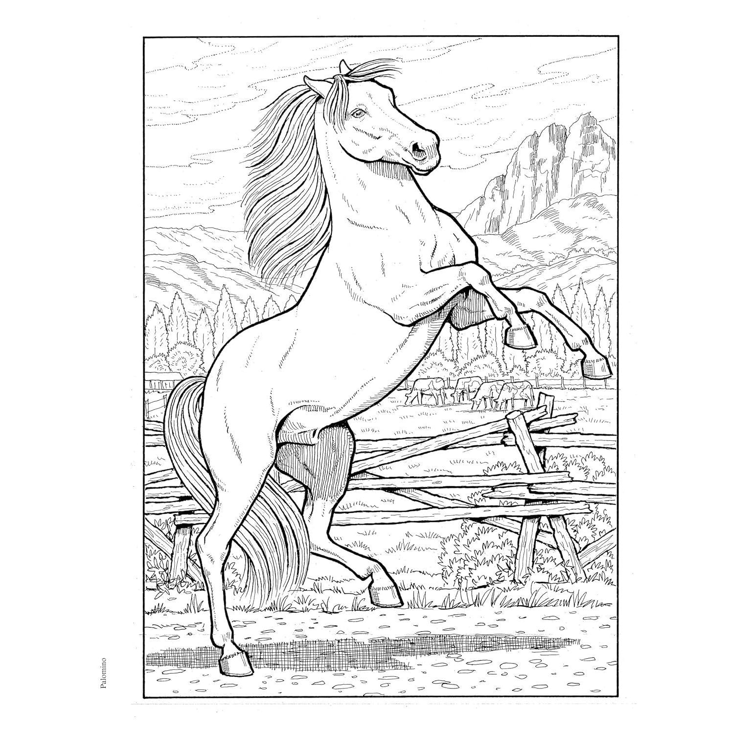 Creative Haven Great Horses Coloring Book