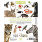 The Animal Book: A Visual Encyclopedia of Life on Earth (Spiral Bound)