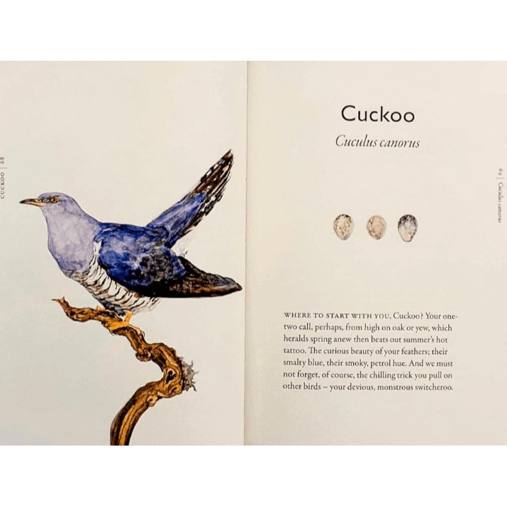 The Book of Birds: A Field Guide to Wonder and Loss