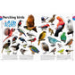 The Animal Book: A Visual Encyclopedia of Life on Earth (Spiral Bound)