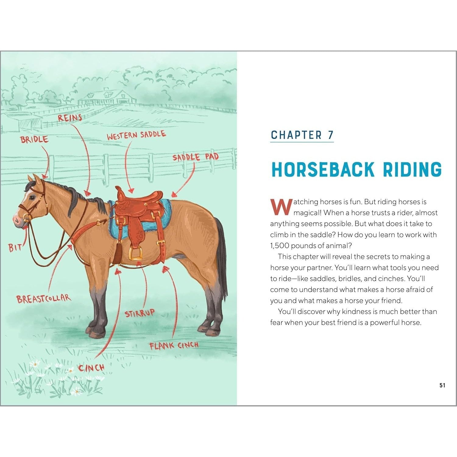 All about Horses: A Kid's Guide to Breeds, Care, Riding, and More!