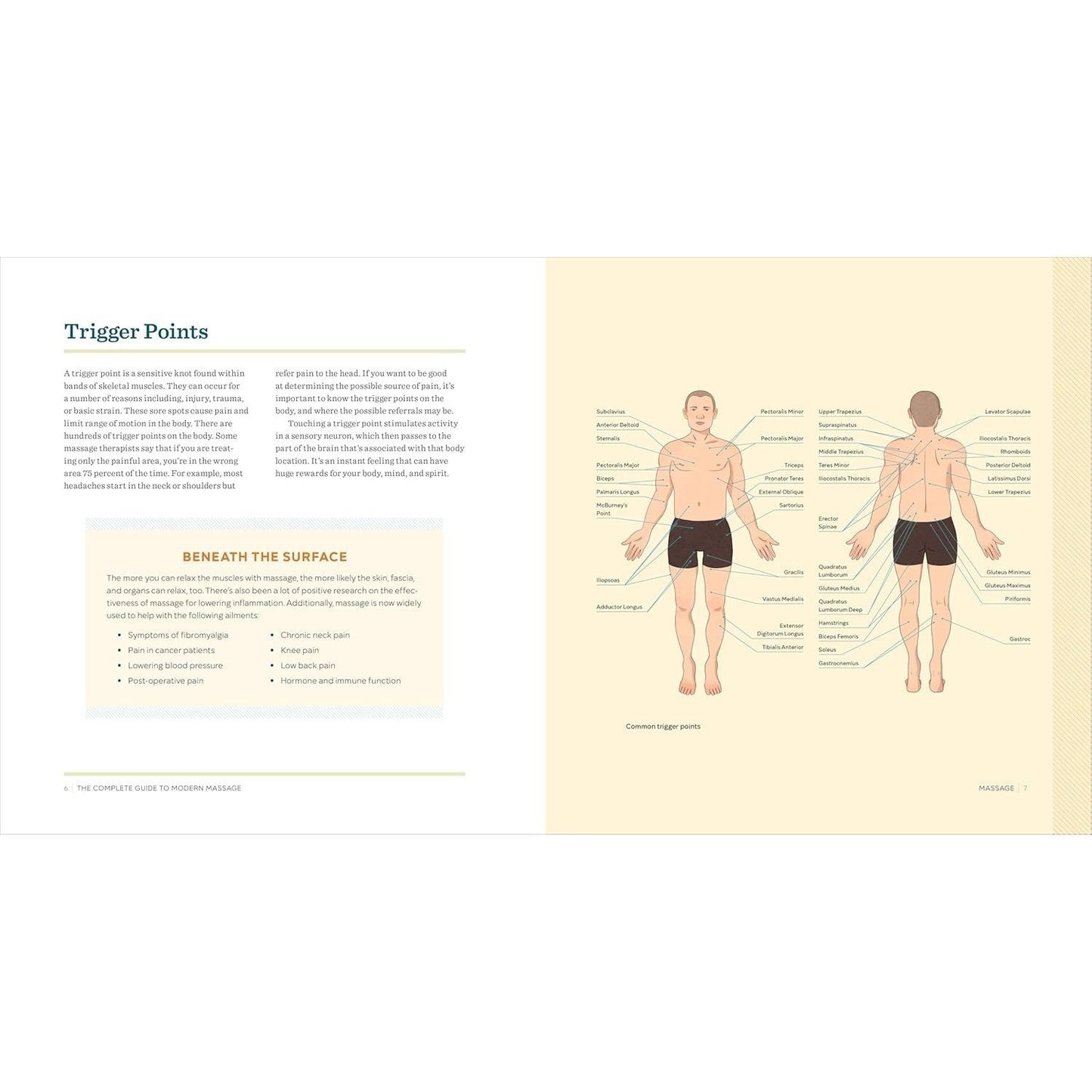 The Complete Guide to Modern Massage: Step-By-Step Massage Basics and Techniques from Around the World