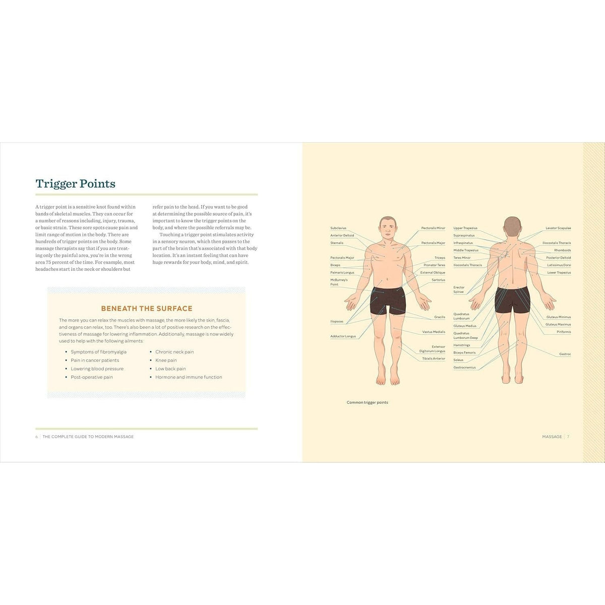 The Complete Guide to Modern Massage: Step-By-Step Massage Basics and Techniques from Around the World