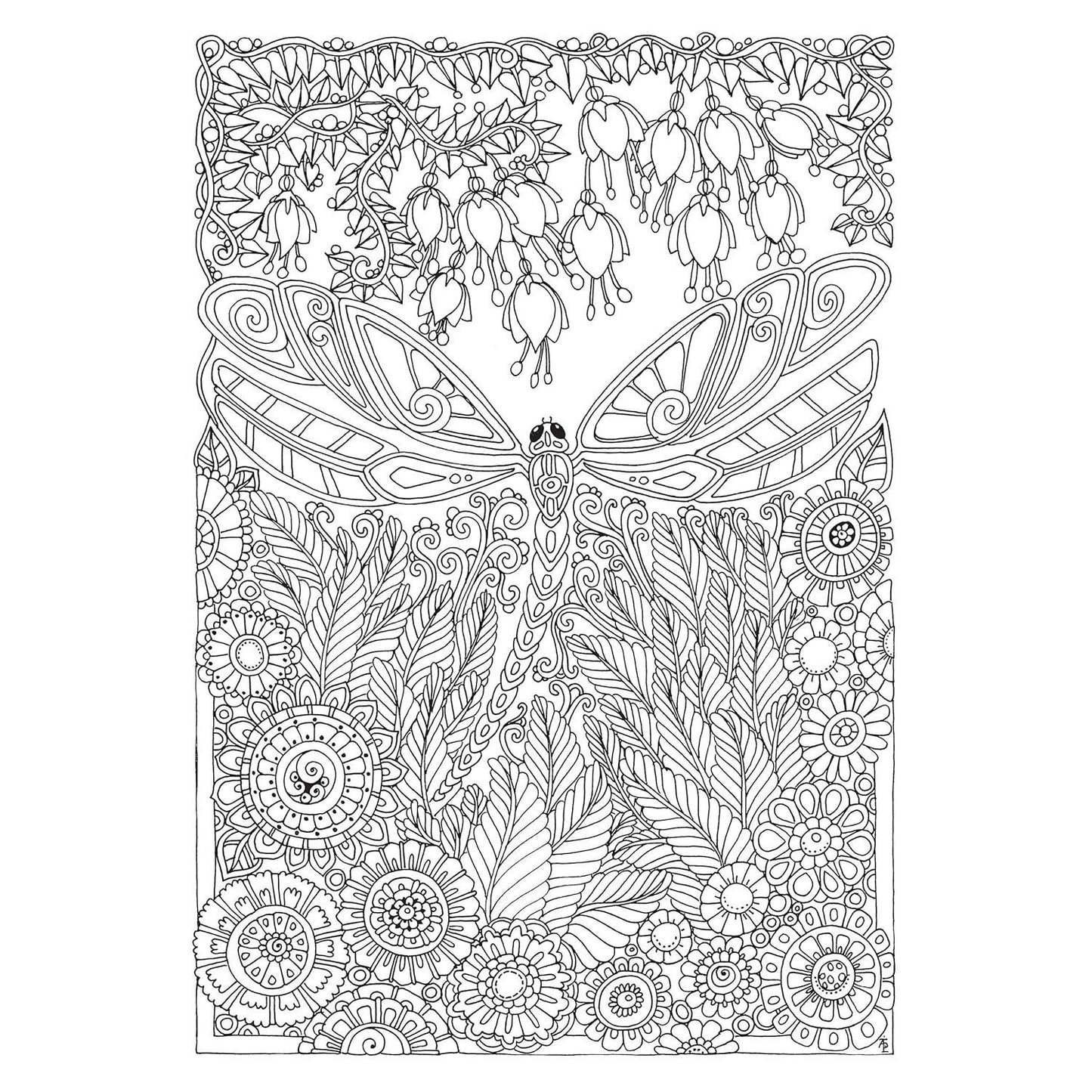 Creative Haven Entangled Dragonflies Coloring Book