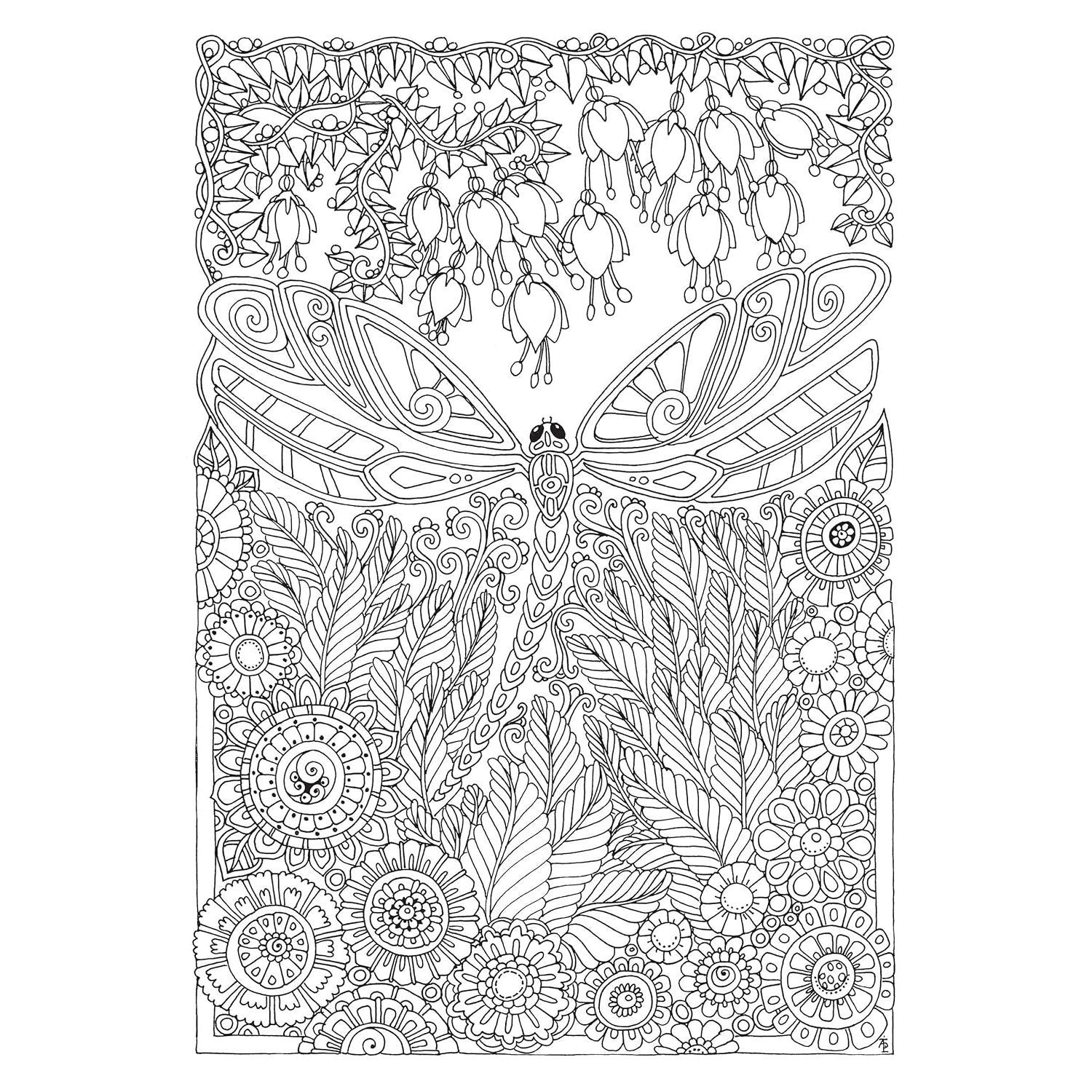 Creative Haven Entangled Dragonflies Coloring Book