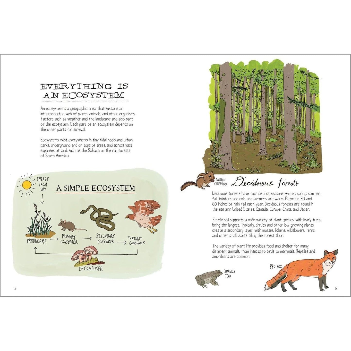 Wildlife Anatomy: The Curious Lives & Features of Wild Animals Around the World