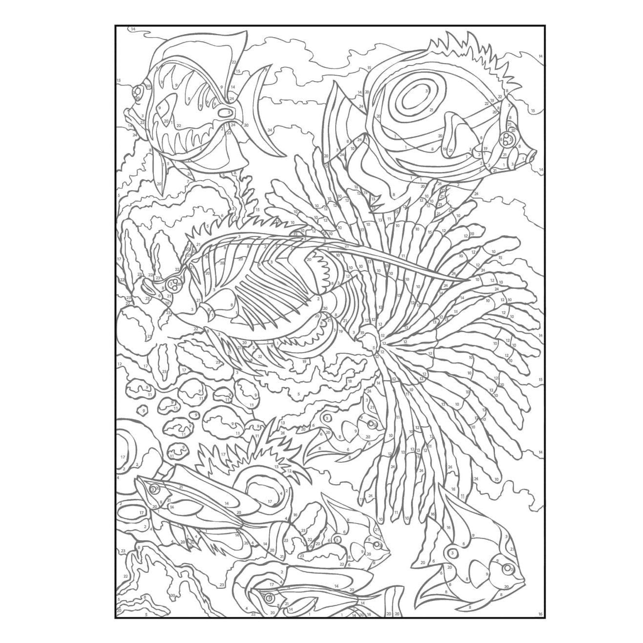Creative Haven Sea Life Color by Number Coloring Book