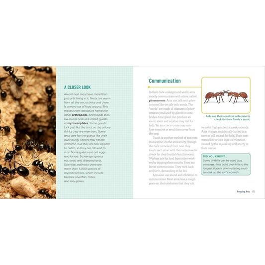 Ants for Kids: A Junior Scientist's Guide to Queens, Drones, and the Hidden World of Ants (Junior Scientists)