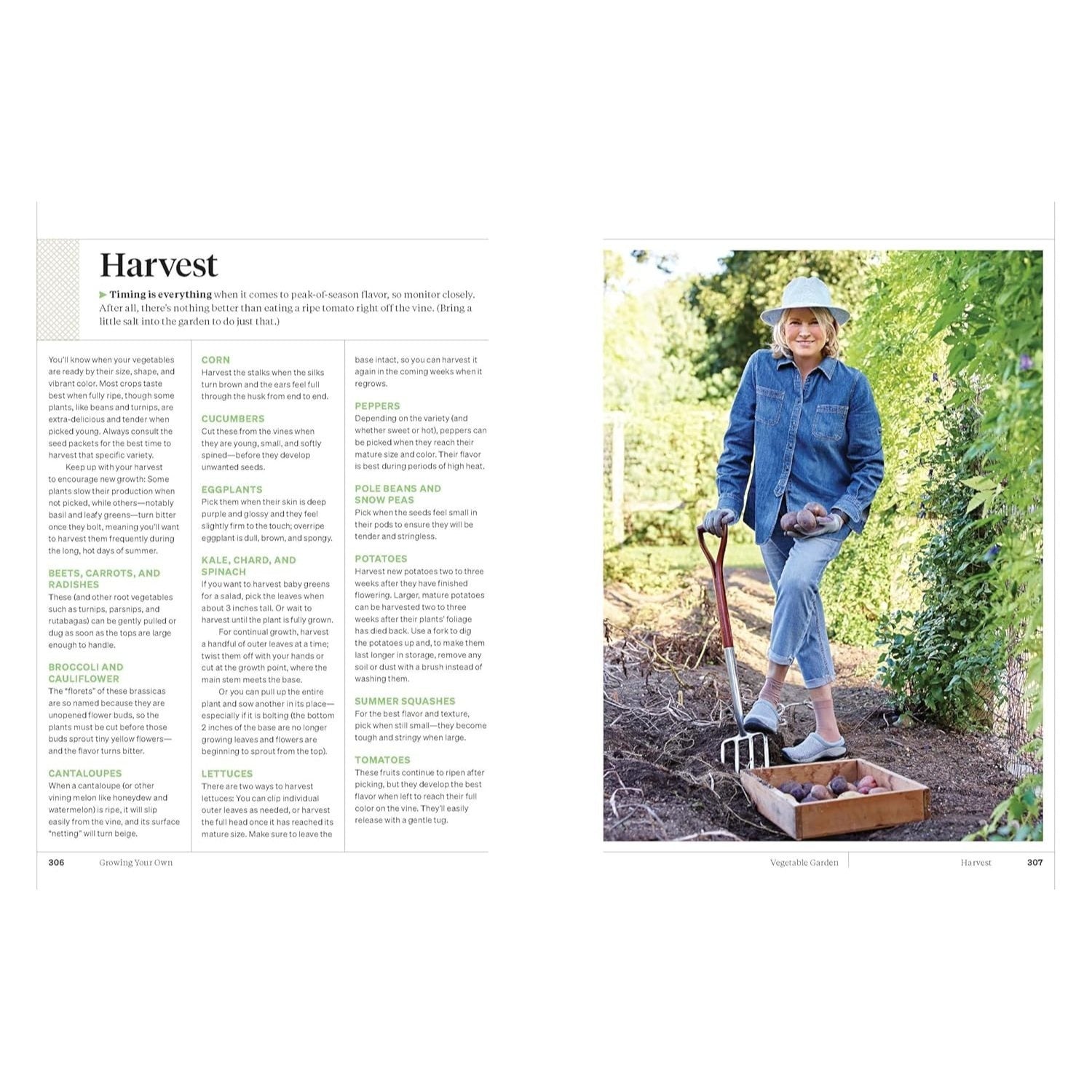 Martha Stewart's Gardening Handbook: The Essential Guide to Designing, Planting, and Growing (Spiral Bound)